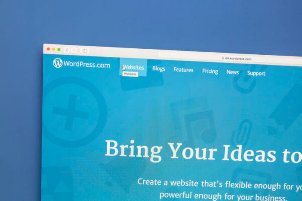 Pourquoi faire appel aux services d’un expert développeur WordPress ?